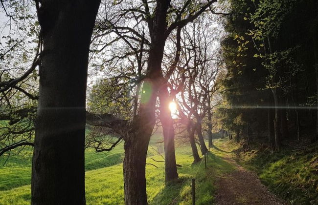 Sunny Terrace & Quiet Stay - Foto 30