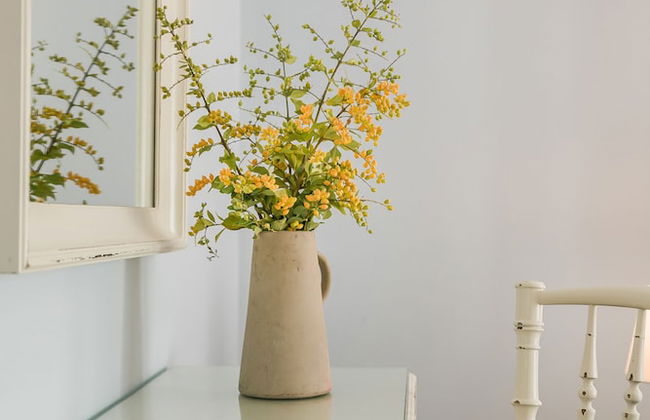 Villa Petri - Photo 3