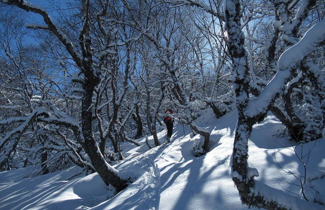 Passeggiata con racchette da neve al Parco Naturale di Somiedo - Foto 6