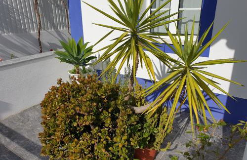 Bella's House 4 com Piscina - Foto 44