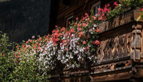 Oberhabererhof - Foto 4