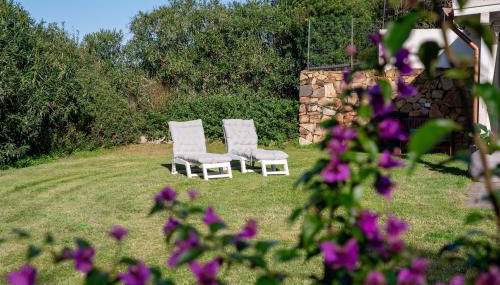 Green House - Foto 5, Garden, sunbed