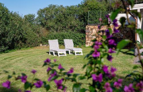 Green House - Foto 5