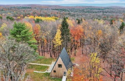 Modern A-Frame Catskills Hot Tub & Fireplace - Foto 38