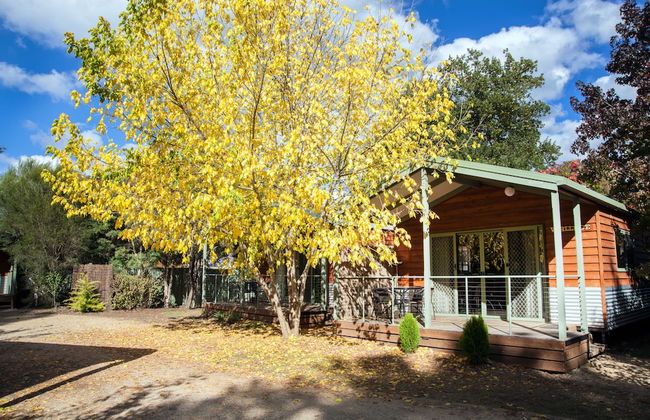 Big4 Tasman Holiday Parks - Bright - Photo 3