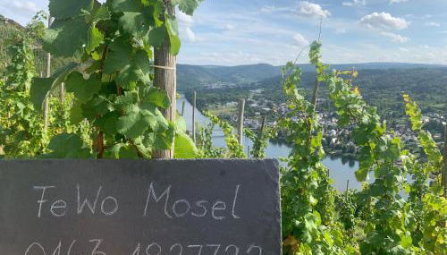 Ferienwohnung Mosel - Foto 2