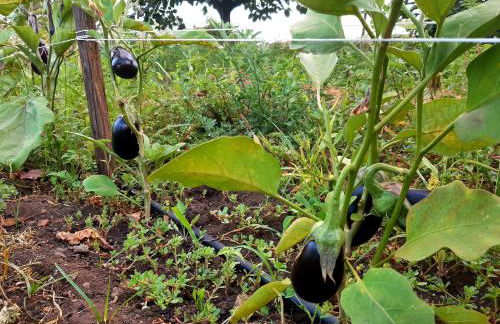 Casa Leopina Apri gli occhi e vola oltre il mare - Foto 41