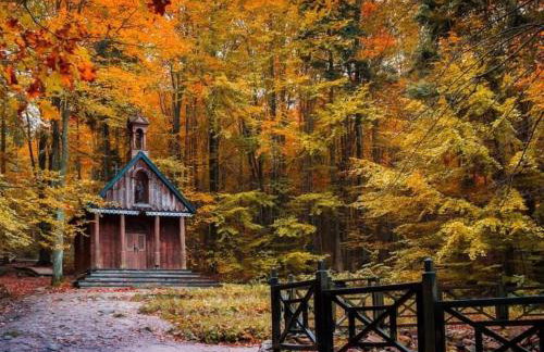 Noclegi Święta Katarzyna ,, Pod Jeleniami "prawdziwymi - Foto 28