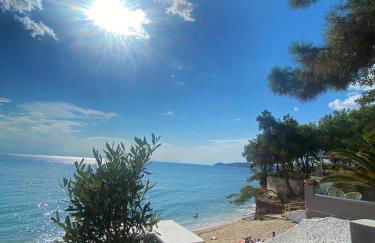 Ktima Papaoikonomou 2 - Foto 24