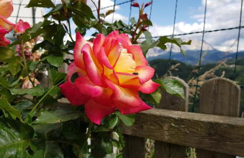 Lüch da Börz - Foto 18