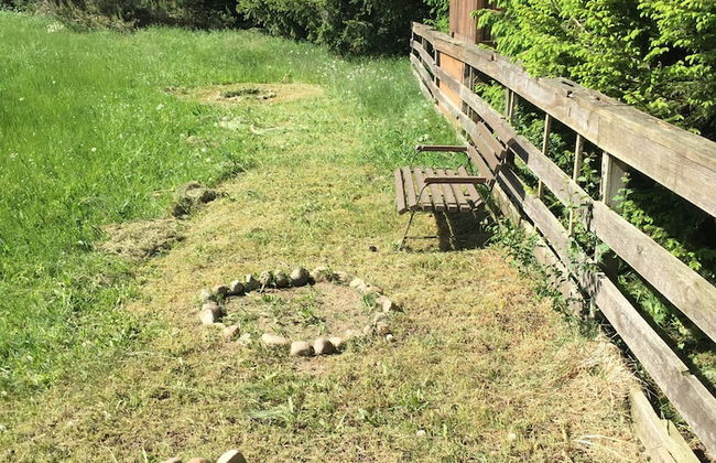 Ferienhaus Mirow-Lärz - Kamin Wald Ruhe - Foto 30