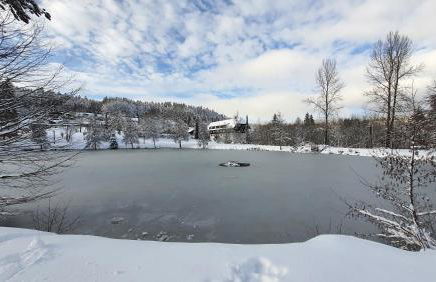Ferienwohnung Seeblick mit Balkon - Mein Schwarzwaldhäusle - Foto 6
