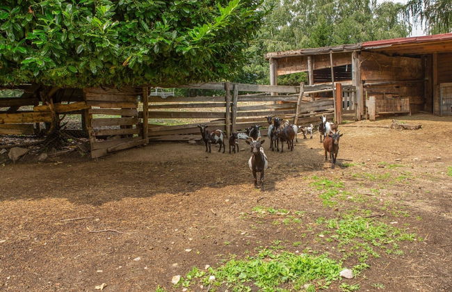 Farmhouse in Verbania With Lake Views - Foto 32