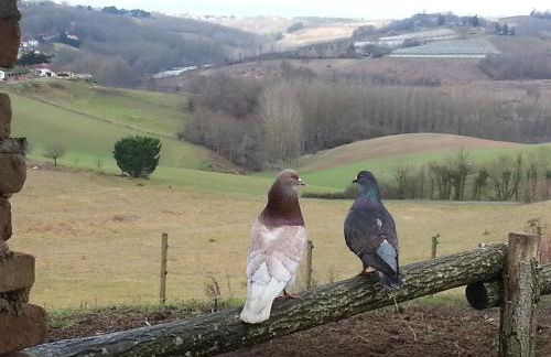 la Roulotte du Cos - Foto 12