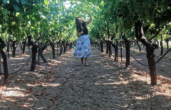 Cretan Vineyard Hill Villa Private Pool, Panoramic View, Beautiful Vineyard - Photo 26