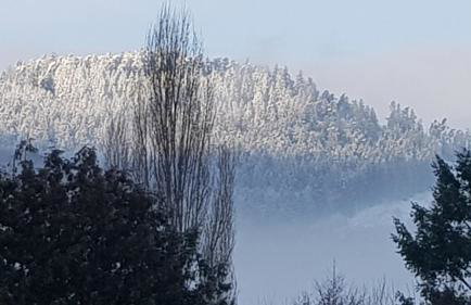 Gîte 4 à 10 Personnes avec sauna" La ferme des Sources" dans les Hautes Vosges - Foto 48
