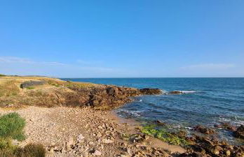 A L'ombre des Pins, Appartement neuf, élégant, Parking gratuit, Netflix, au calme à 100m de l'océan - Photo 33
