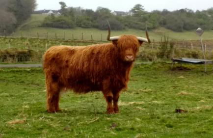 3 St Gilbert Street - Photo 54