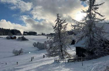 Weiherhaus Orchidee - Foto 16