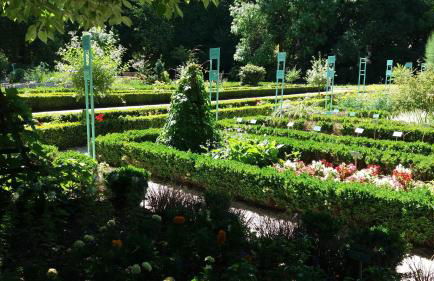 Meublé de tourisme 2* les Jardins de l Arquebuse - Foto 18