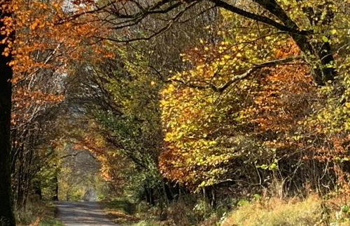 Creran Apartment, Kinlochlaich House - Foto 15