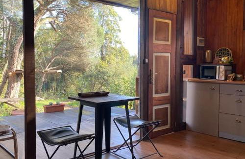 Pine Lodge - direct train to Porto - Foto 16