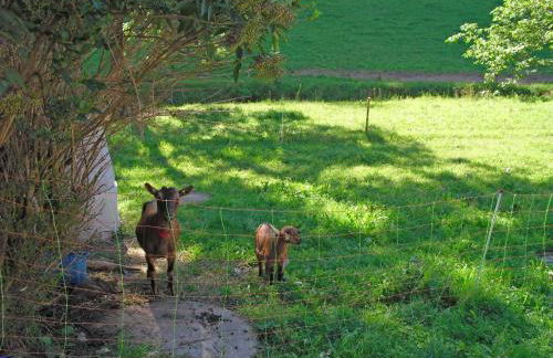 Comfortable Holiday Home in a Beautiful Location - Foto 129