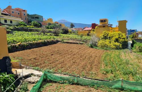 Vivienda Vacacional Ca Na Paula - Foto 39