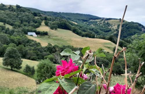 Nouveau - Maison Nierveze proche Lioran - Photo 12