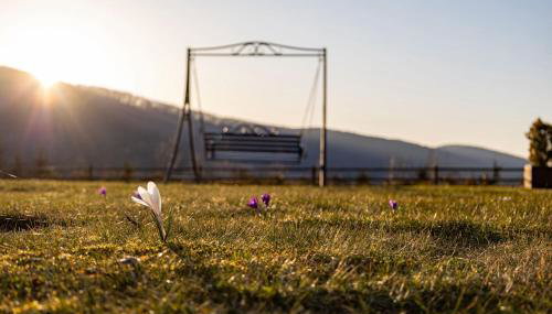 Chaty na Cholewicy Domki Całoroczne - Foto 4