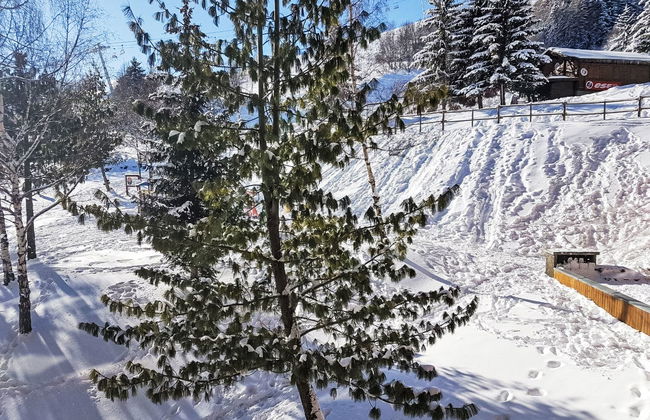 Pegase Phenix - Photo 18