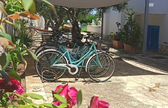 Signorino Eco Resort & Spa - Foto 76