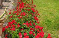 Corte Ramedello - Foto 18