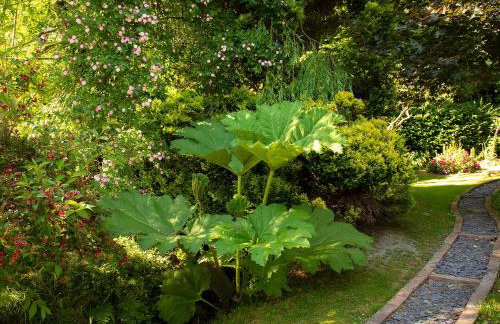 Dolgenau Cottages - Foto 32