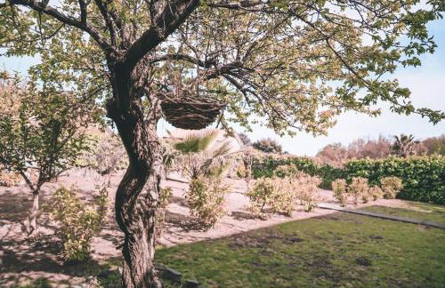 Villa Sara on Etna - Foto 30