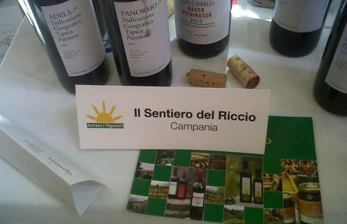 il sentiero del riccio - Foto 26