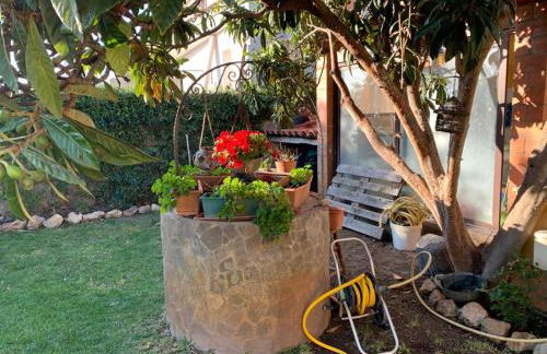 Casa Vacanze La Margherita - Photo 10