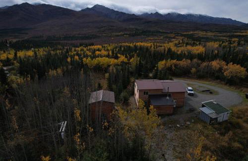 Denali Park View Family Log Cabin - Photo 15