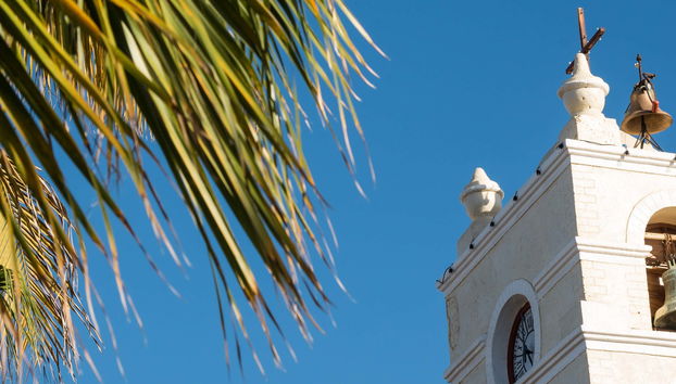 La Paz, Cancer Tropic & Todos Santos Day Trip - Foto 4