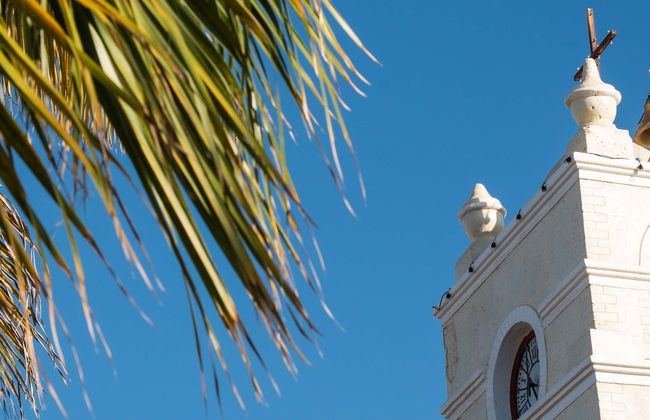 La Paz, Cancer Tropic & Todos Santos Day Trip - Foto 4