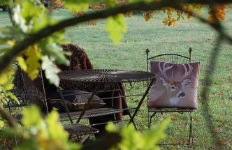 CHEZ ELLES EN PROVENCE - Photo 12