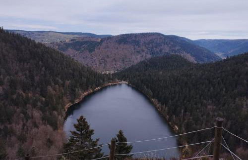 Aux balcons de la vallée - Foto 32