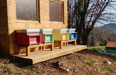 Agriturismo La Collina delle Api - Foto 45