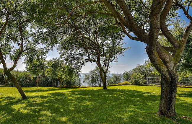 Jardines de las Golondrinas - Foto 38