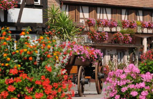 Gîte Marcel et Marianne jardin et parking privatifs - Foto 44