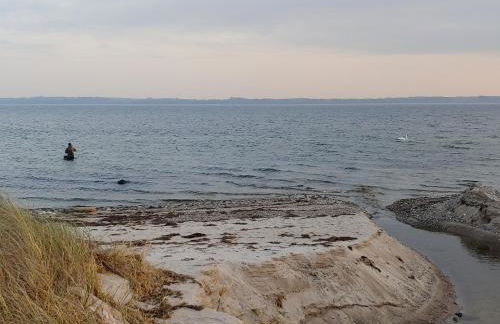 Gut Hohenstein - Stellmacherhaus - Foto 21