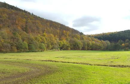 Apartment Am Sternberg 236 - Foto 67