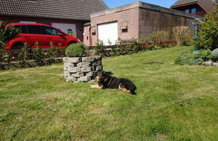 Wohnung "Orther Hafen" in Bannesdorf auf Fehmarn - Foto 16