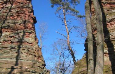 Ferienhaus Schönbachhof - Foto 38