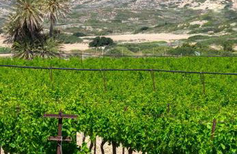 The Lookout in Mirsini - Roof Terrace - AC - WIFI - Foto 56